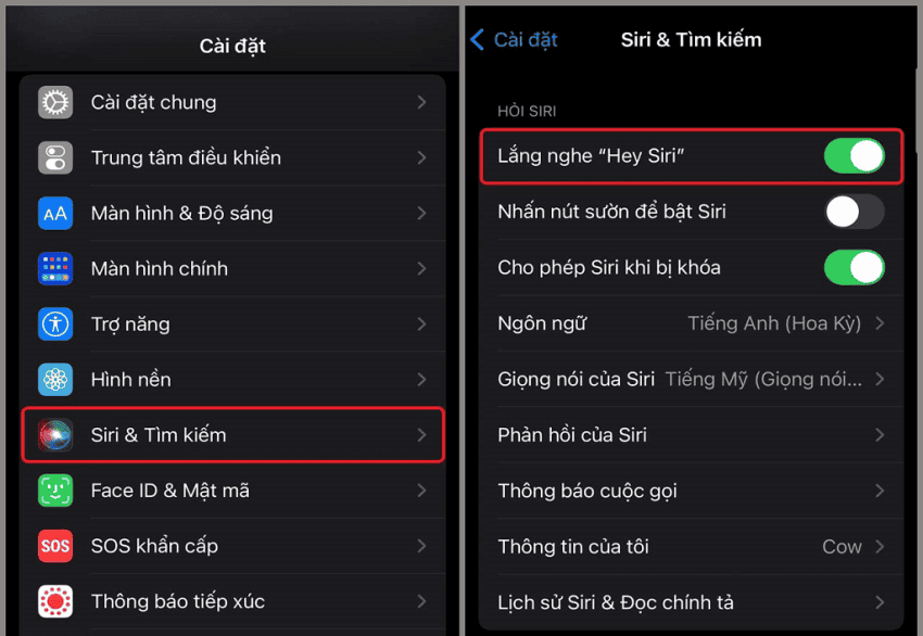 ứng dụng siri trên iphone là gì